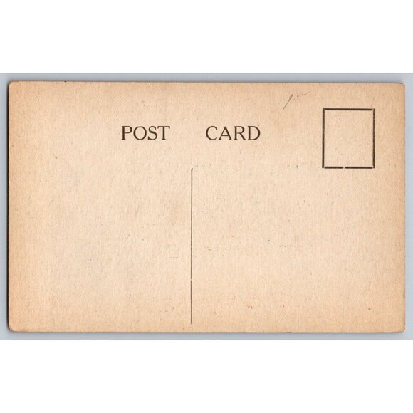 Vintage Postcard With Humorous Cat Quote - "Dont Fling Bricks At Cats" #1672 - Picture 2 of 2